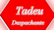 Despachante SP – Tadeu Despachante